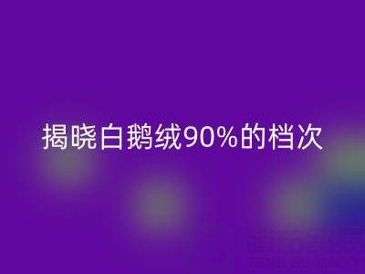 揭秘白鹅绒90%的档次与价值，探寻杭州羽绒乐玩手机网页版登录入口奥秘