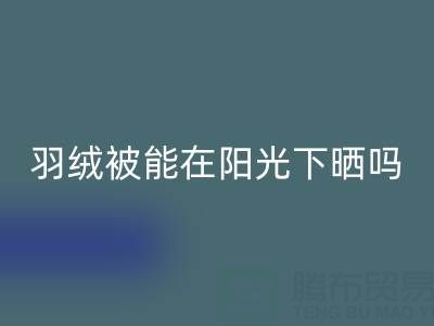 羽绒被能在阳光下晒吗？——上海鸭绒乐玩手机网页版登录入口厂家揭秘