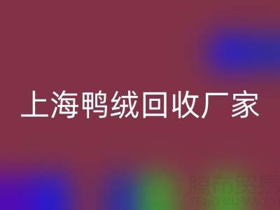 羽绒被内胆布料选购指南：上海鸭绒乐玩手机网页版登录入口厂家的专业建议