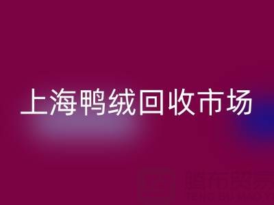 上海鸭绒乐玩手机网页版登录入口市场解析：羽绒被乐玩手机网页版登录入口价格的决定因素与产业价值