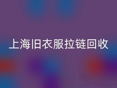 上海旧衣服拉链乐玩手机网页版登录入口价格解析：拉链背后的环保金矿