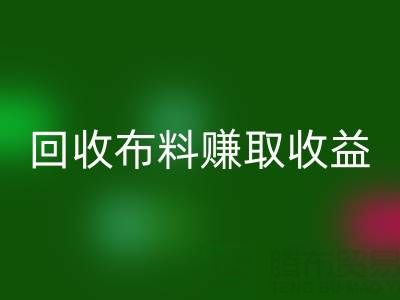 个人如何参与高价乐玩手机网页版登录入口布料赚取收益？揭秘赚钱新途径