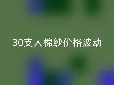 30支人棉纱价格波动剖析：棉纱乐玩手机网页版登录入口市场的新风向标