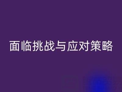 库存染料星空手机入口公司面临的挑战与应对策略